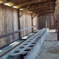 Foto de Birkenau