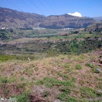 Foto de Baños