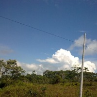 Foto de Canelos