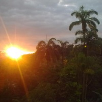 Foto de Shell
