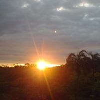 Foto de Shell