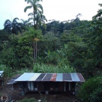 Foto de Shell
