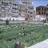 Foto de Sana'a
