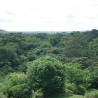 Foto de Llano de la cruz