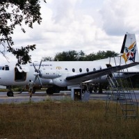 Foto de Kruger National Park