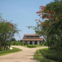 Foto de Guanacaste (Santa Cruz)