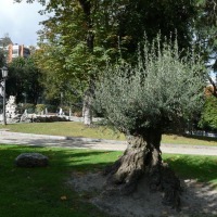 Foto de Oviedo