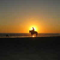 Foto de Metalío (Sonsonate)