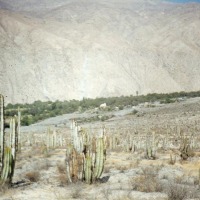 Foto de Pacaychacra