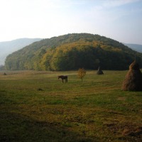 Foto de Viile Dejului