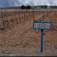Foto de Cariñena