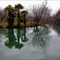 Foto de Alhama de Aragón