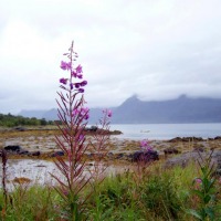 Foto de Islas Lofoten