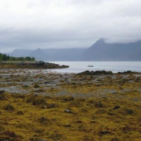 Foto de Islas Lofoten