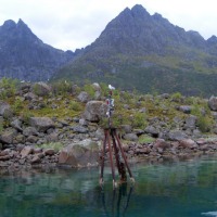 Foto de Trollfjorden