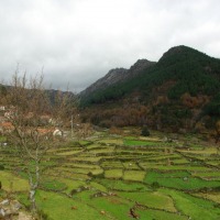 Foto de Adrao