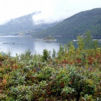 Foto de KABELVAG
