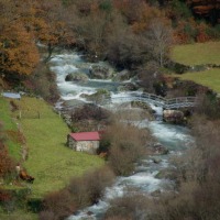 Foto de Adrao