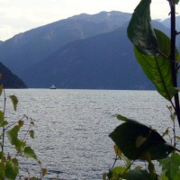 Foto de Sognefjorden