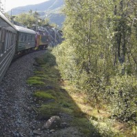 Foto de Flam