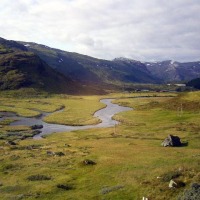 Foto de Flam