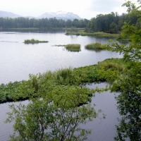 Foto de Tromso