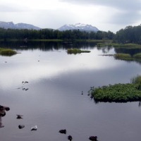 Foto de Tromso