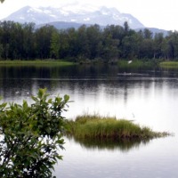 Foto de Tromso