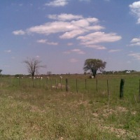 Foto de chaco'i