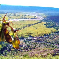 Foto de Chuquiago