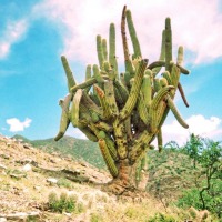 Foto de Chuquiago