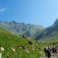 Foto de Curtea de Arges