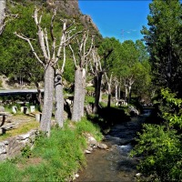 Foto de Camarena de la Sierra