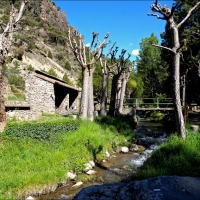 Foto de Camarena de la Sierra