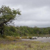 Foto de Galapagos