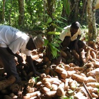 Foto de Haiti