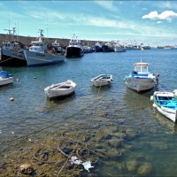 Foto de Ametlla de Mar