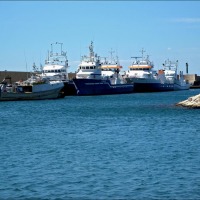 Foto de Ametlla de Mar