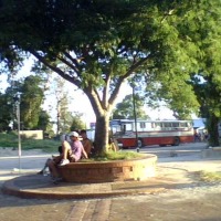 Foto de Pajas Blanca (Montevideo)