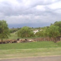Foto de La Paz (Canelones)