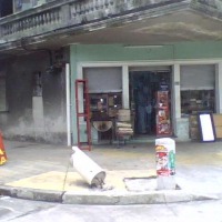 Foto de Monteviedo
