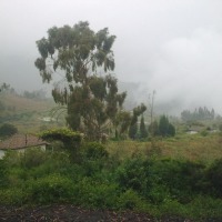 Foto de Bayushig