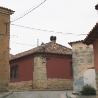 Foto de Fuentes de Valdepero