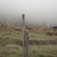 Foto de Chimborazo