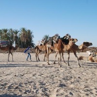 Foto de Desirto de Sahara