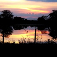 Foto de Acarigua