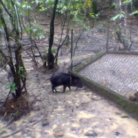 Foto de Tena (Aguano)