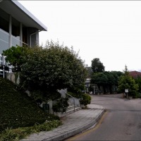 Foto de Arnoia