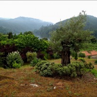Foto de Arnoia