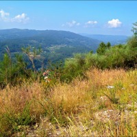 Foto de Arnoia